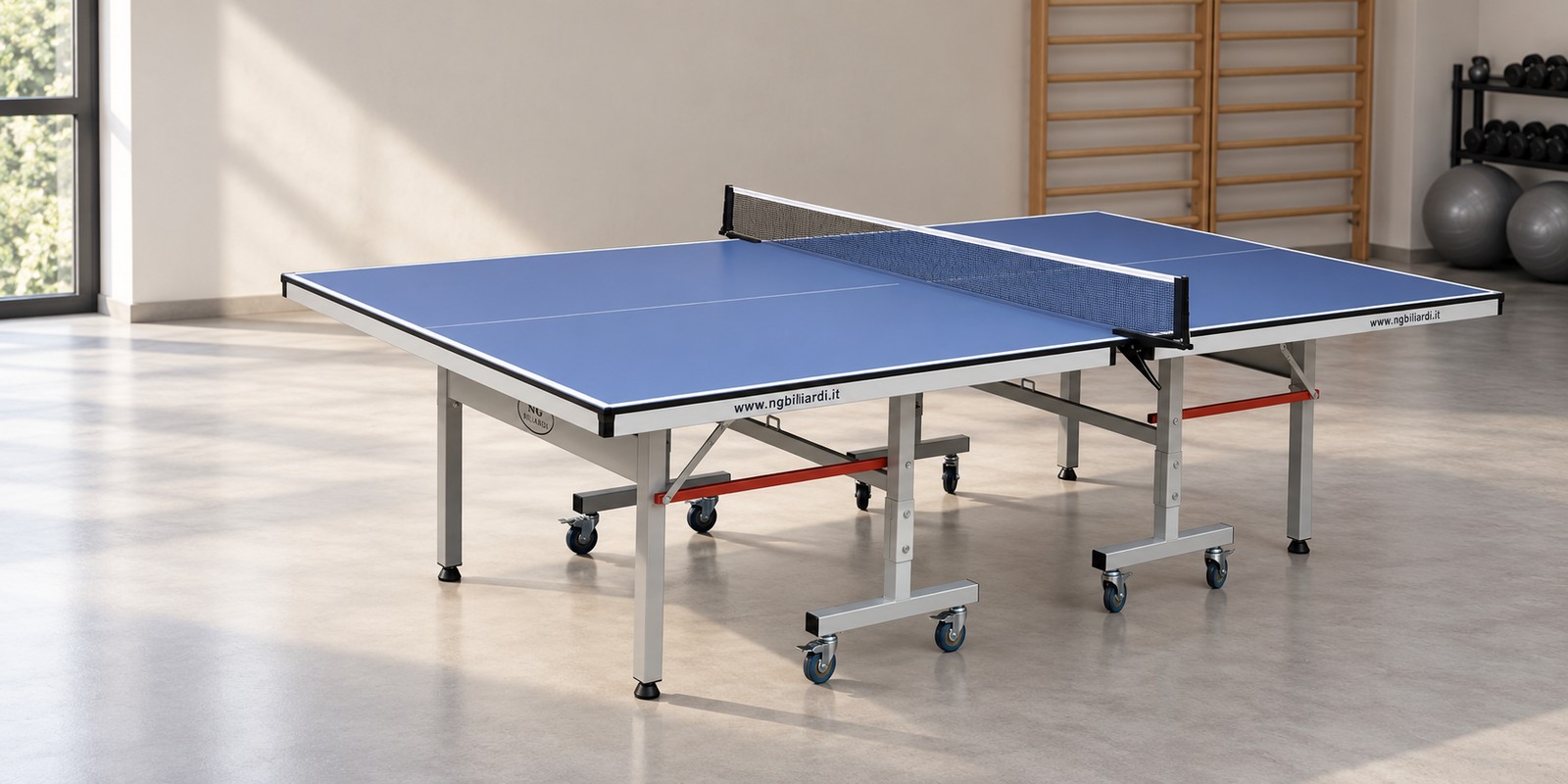 Ping Pong da Interno