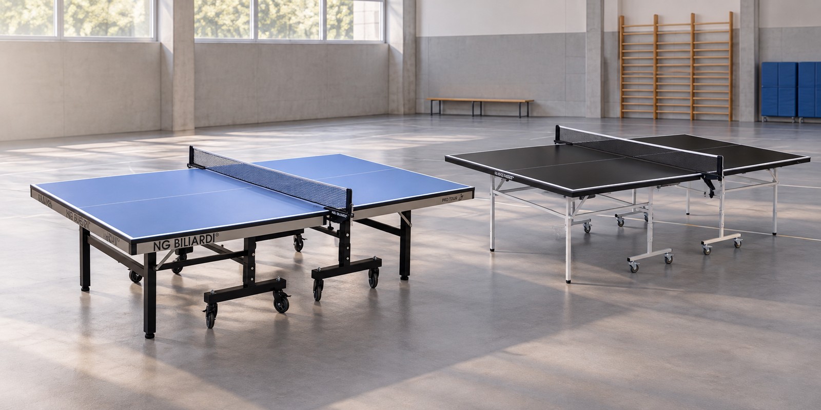 Tavoli da Ping Pong