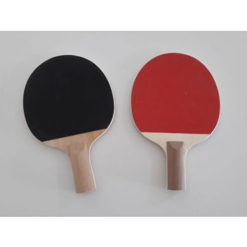 Coppia Racchette Ping Pong (alto controllo)